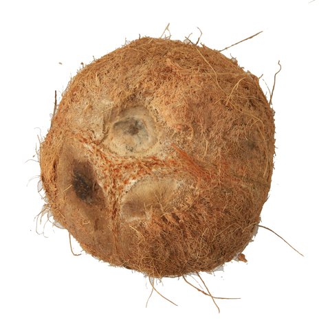 Sunny Phil Niyog Coconut 1kg