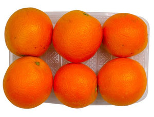 Sunny Phil Seedless Orange 113