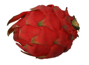 Sunny Phil Red Dragon Fruit